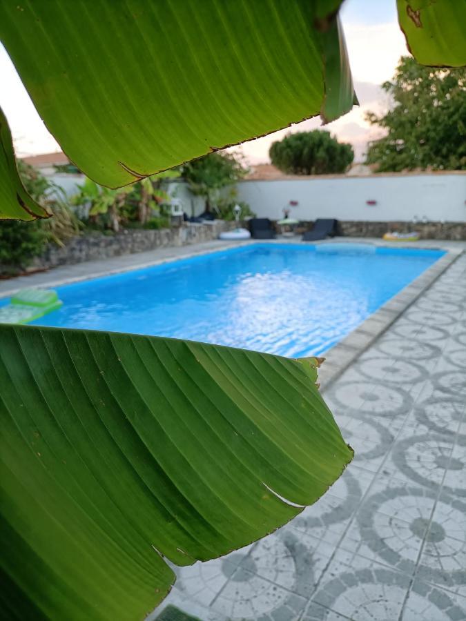 Les Bichettes Bed & Breakfast Mortagne-sur-Sevre Dış mekan fotoğraf