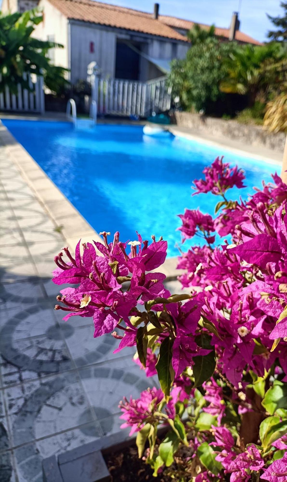 Les Bichettes Bed & Breakfast Mortagne-sur-Sevre Dış mekan fotoğraf